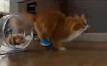 Viral Hamster Vs CAT AI Video Prompt 2026 (Copy Paste) GGVP6